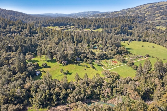 drone / aerial view featuring a view of trees and a mountain view