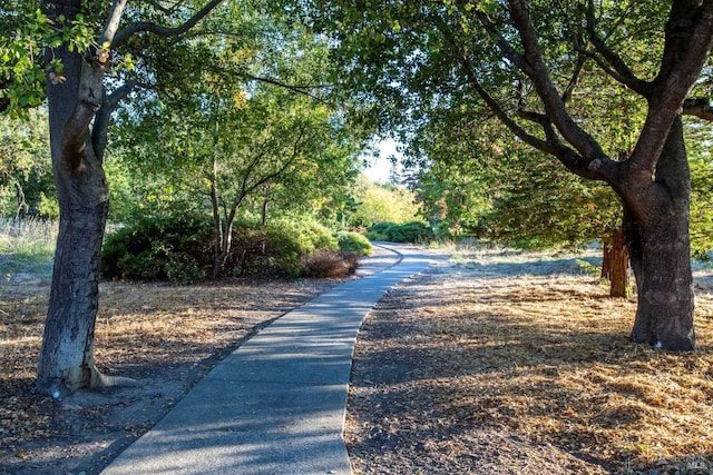 view of surrounding community