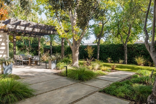 999 Pratt Ave, Saint Helena, CA 94574 - surrounding community with a pergola, a patio area, and outdoor dining space