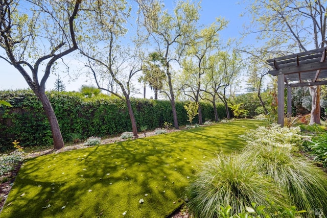 999 Pratt Ave, Saint Helena, CA 94574 - view of yard featuring a pergola and fence