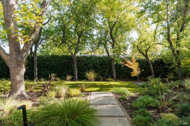 999 Pratt Ave, Saint Helena, CA 94574 - view of home's community with a lawn