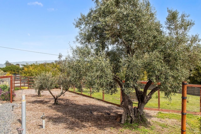 9123 Red Hill Ct, Cotati, CA 94931 - view of yard
