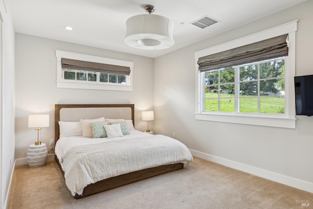 9123 Red Hill Ct, Cotati, CA 94931 - bedroom featuring carpet floors