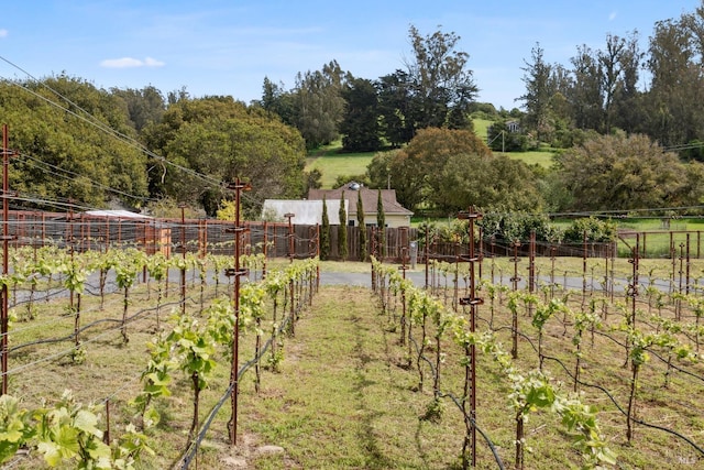 9123 Red Hill Ct, Cotati, CA 94931 - view of yard featuring a vegetable garden