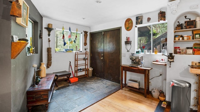 foyer featuring a wealth of natural light and light wood finished floors