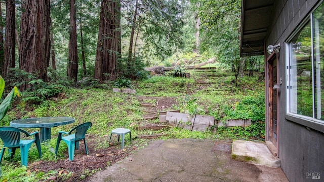 view of yard featuring a patio area