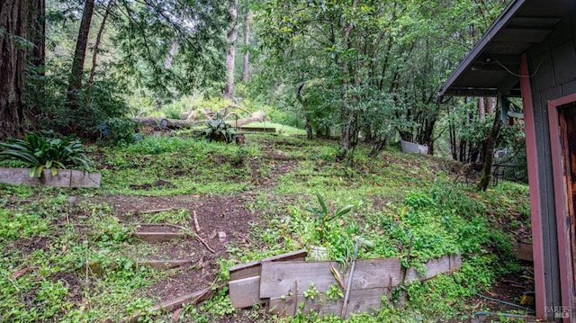 view of yard featuring a view of trees and a vegetable garden