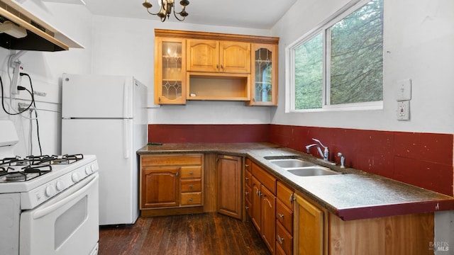 kitchen with glass insert cabinets, a sink, white appliances, brown cabinetry, and dark wood-type flooring
