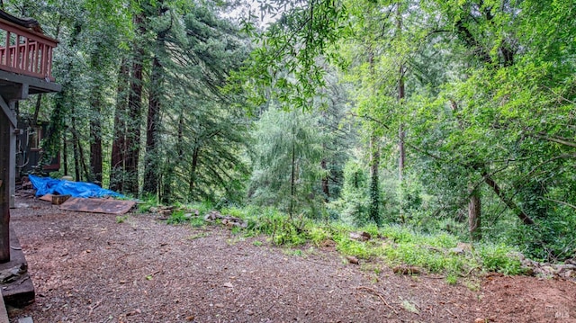 view of yard featuring a view of trees