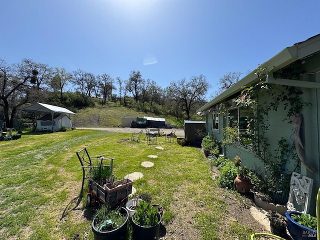 view of yard featuring a garden