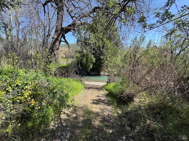 view of nature