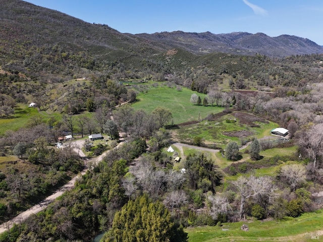 drone / aerial view featuring a mountain view