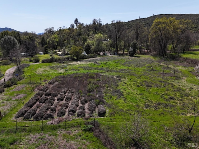 view of yard featuring a mountain view