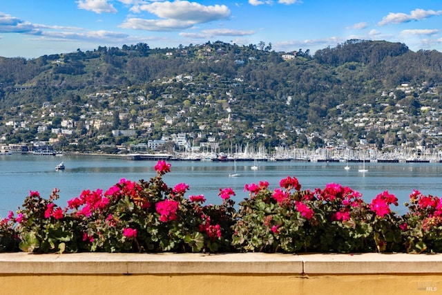 property view of water featuring a mountain view