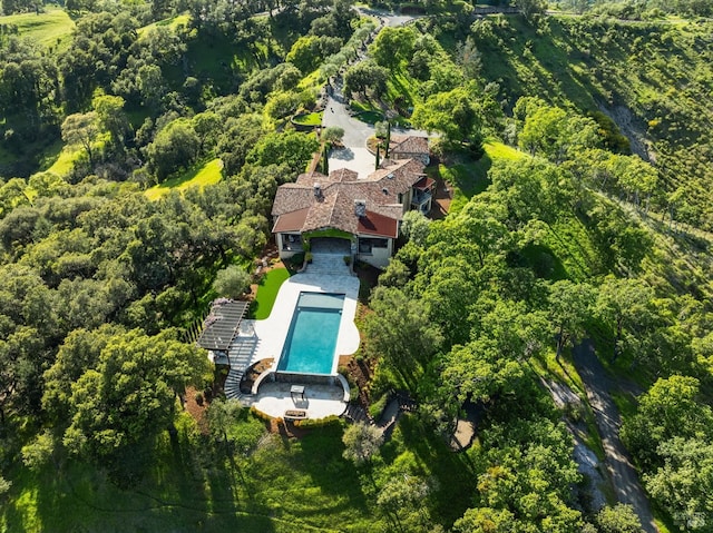 drone / aerial view