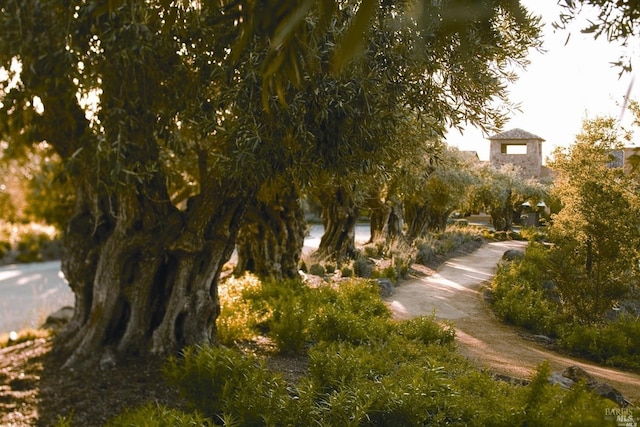 view of surrounding community