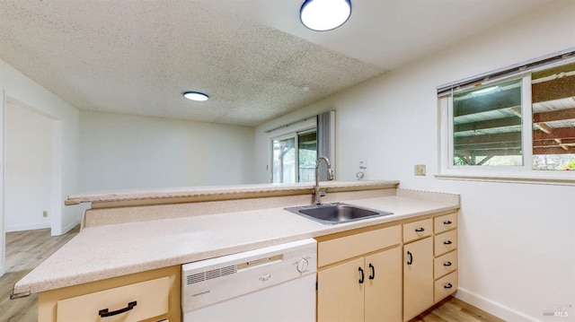 kitchen with light wood-style flooring, dishwasher, a sink, and light countertops