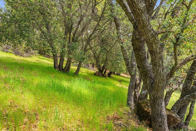 18595 Glenwood Rd, Hidden Valley Lake, CA 95467