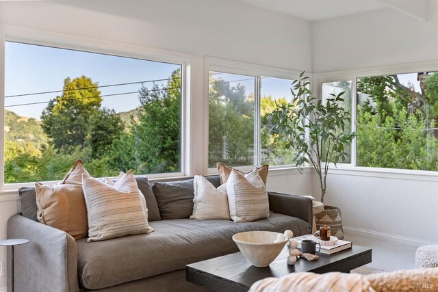 294 Scenic Rd, Fairfax, CA 94930 - sunroom with baseboards