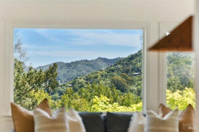 294 Scenic Rd, Fairfax, CA 94930 - view of mountain background with a forest