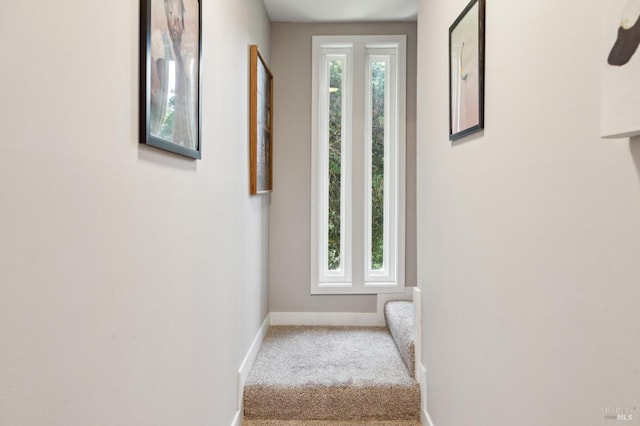 299 Via Barranca, Greenbrae, CA 94904 - interior space featuring baseboards and carpet floors