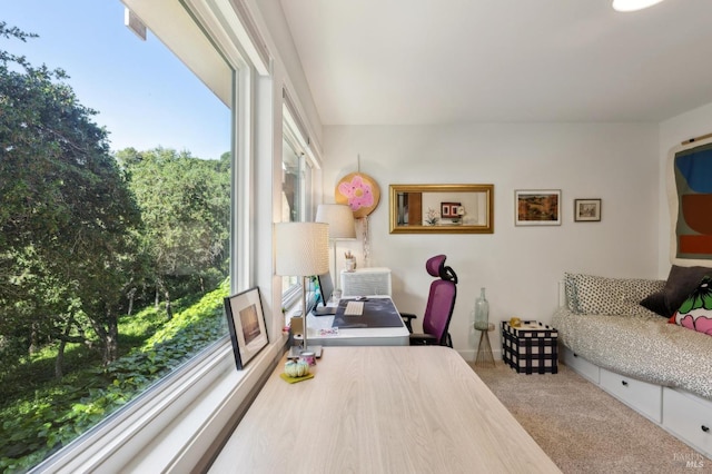 299 Via Barranca, Greenbrae, CA 94904 - office space with carpet flooring