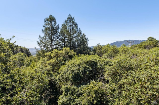 299 Via Barranca, Greenbrae, CA 94904 - view of local wilderness