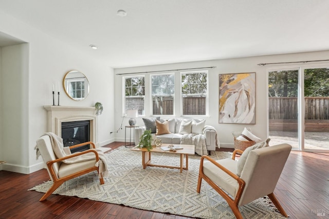 living room with a healthy amount of sunlight, baseboards, and a glass covered fireplace