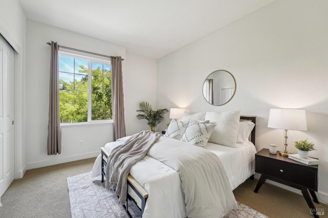 bedroom with a closet, baseboards, and carpet flooring
