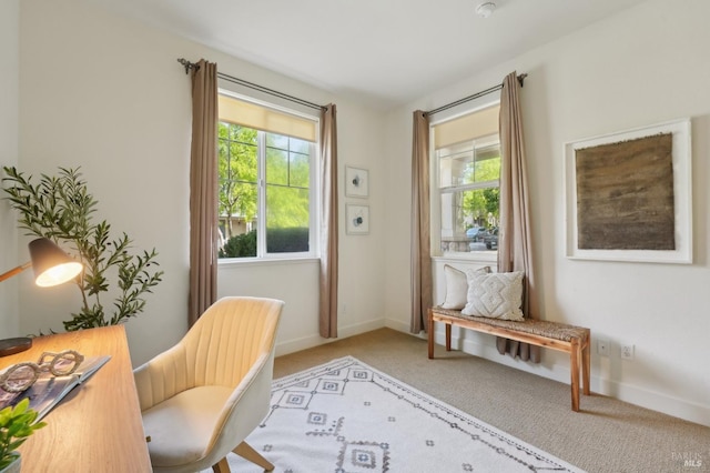 living area with baseboards and carpet flooring