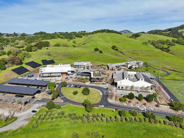 drone / aerial view