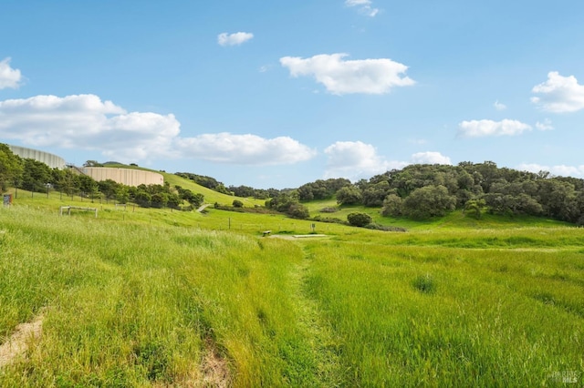 view of nature featuring a rural view
