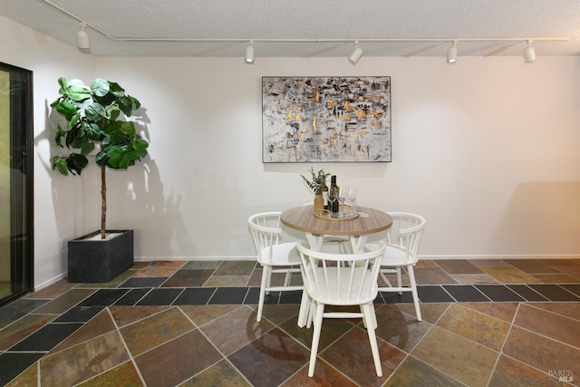 dining room featuring rail lighting and stone tile floors