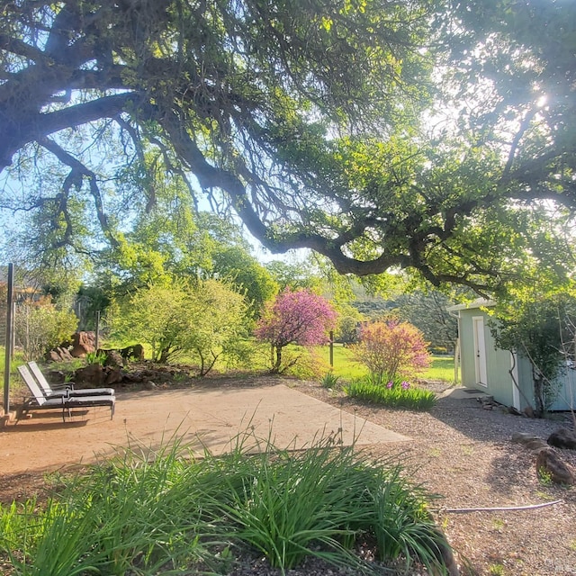 view of community featuring an outdoor structure and a shed
