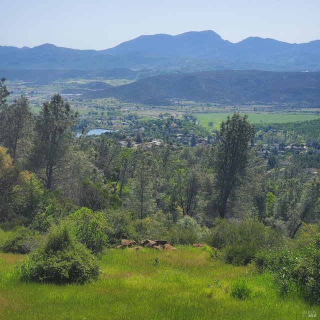 mountain view