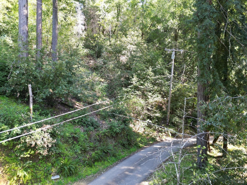 11480 Terrace Dr, Forestville, CA 95436