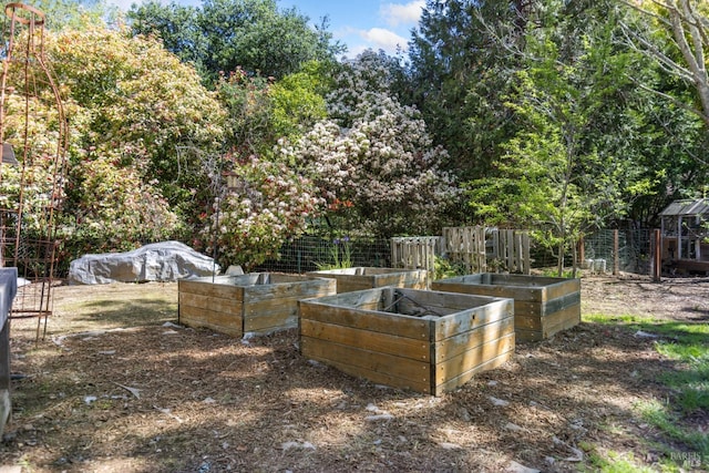 view of yard featuring a garden