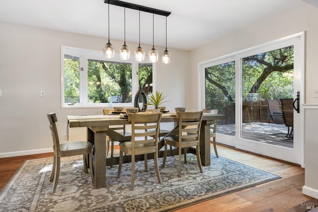 dining room with plenty of natural light, baseboards, and wood finished floors