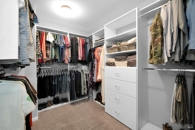 2436 Chuck Hammond Dr, Fairfield, CA 94533 - spacious closet with carpet