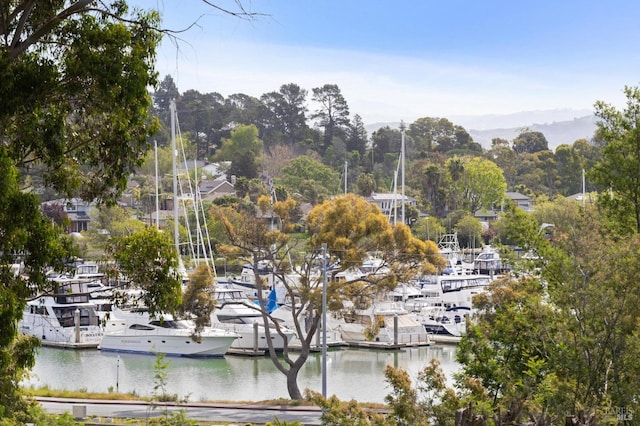 view of home's community featuring a boat dock and a water view