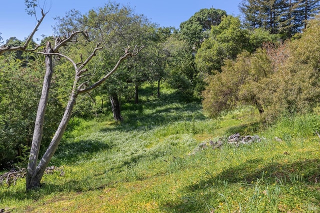 view of nature