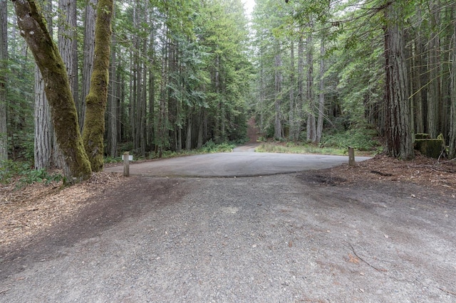 view of street featuring a wooded view