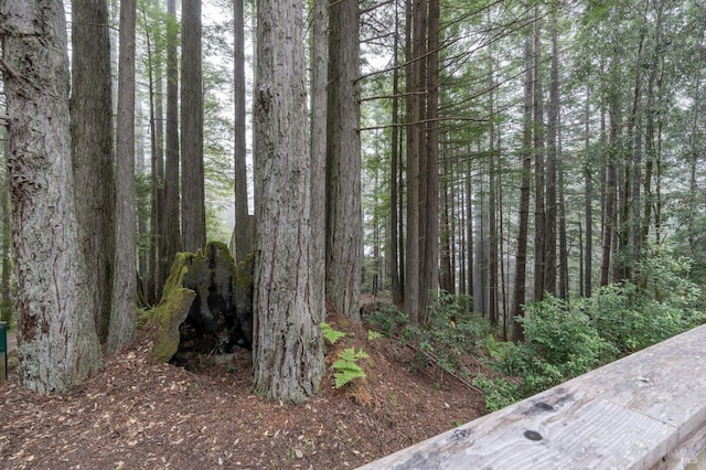 view of local wilderness with a wooded view