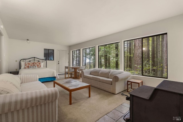 living area featuring light carpet