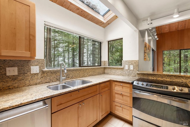 kitchen with tasteful backsplash, a sink, a wealth of natural light, and stainless steel appliances