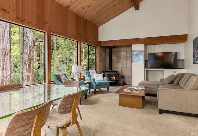 sunroom / solarium featuring a wood stove