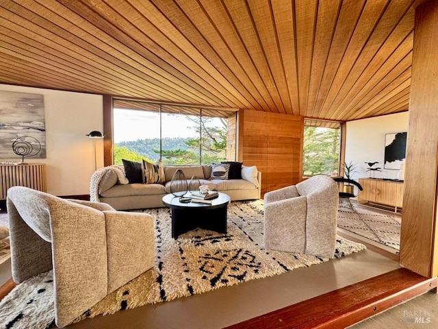 living room with radiator heating unit and wood ceiling