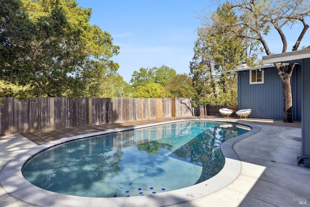 view of swimming pool featuring a patio, a fenced backyard, and a fenced in pool