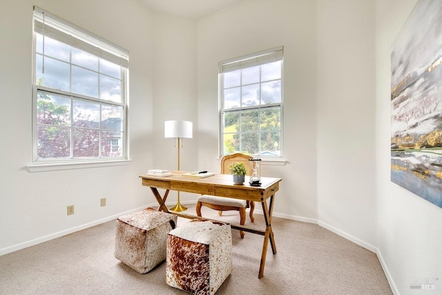 office featuring carpet and a healthy amount of sunlight