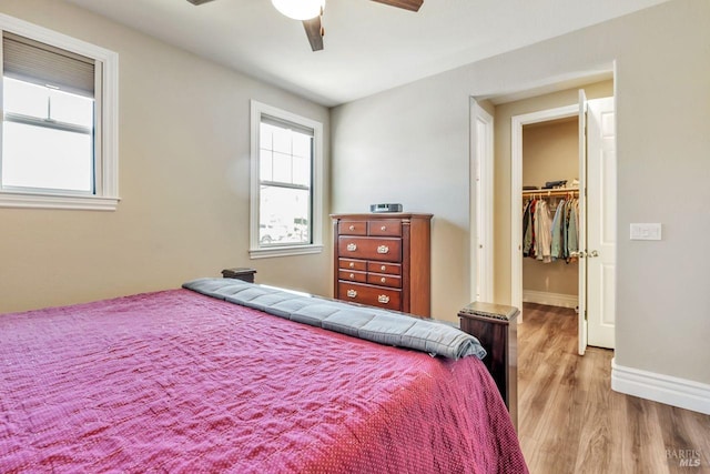 bedroom featuring a closet, baseboards, a ceiling fan, a walk in closet, and light wood-style floors